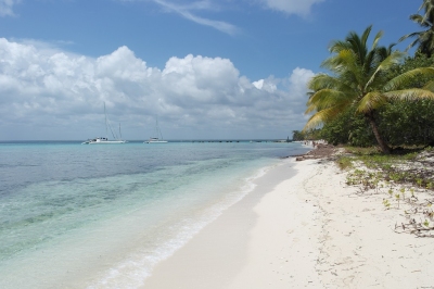 Isla Saona in der Dominikanischen Republik (Alexander Mirschel)  Copyright 
Infos zur Lizenz unter 'Bildquellennachweis'